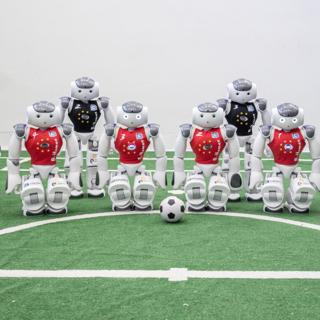 B-Human Robot Team
