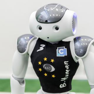 B-Human Robot