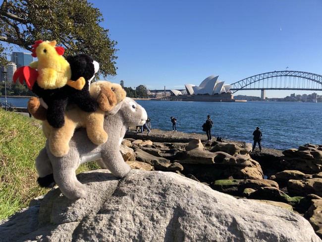 Bremen Town Musicians in Sydney