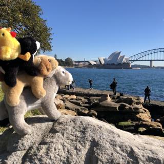 Bremen Town Musicians in Sydney