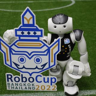 A Robot at RoboCup 2022