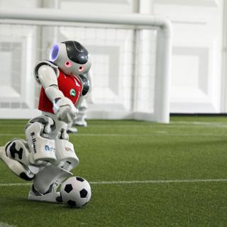 Warm-Up Kick
