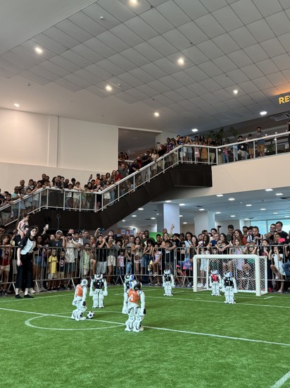 Many Spectators around the Field