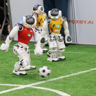 Strong Forward Kick