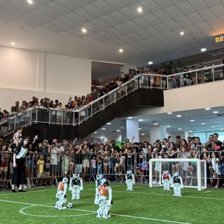 Many Spectators around the Field
