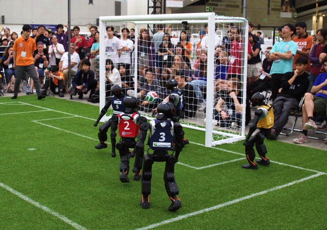 Into the Net