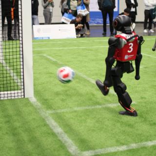Hard Kick into the Goal