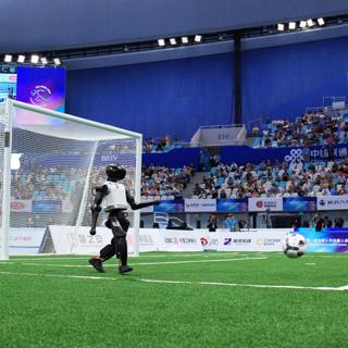 Long Kick