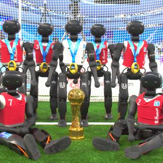 Winning Robots